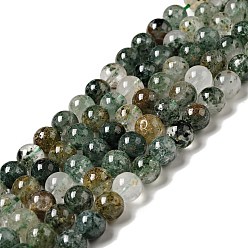 Fuchsite Бусины из натурального фуксита, круглые, 8 мм, отверстие : 0.8 мм, около 49 шт / нитка, 15.75 дюйм (40 см)