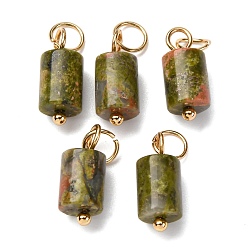 Унакит Подвески-колонны из натурального унакита с 304 соединительными кольцами из нержавеющей стали, золотые, 14x6 мм, отверстие : 4 мм