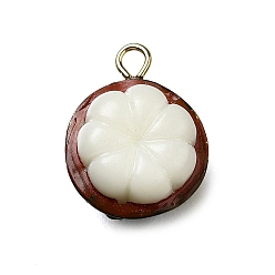 Mangosteen Латунные подвески из акрила, без свинца и без кадмия, стойки покрытие, долговечный, золотые, мангустин, 16.5x12.5x8.5 мм, отверстие : 1.8 мм