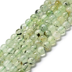 Prehnite Natural Prehnite Beads Strands, Round, Pale Green, 6mm, Hole: 1mm