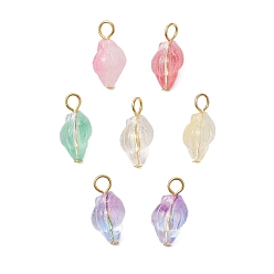 Золотой Подвески из прозрачного стекла с распылителем краски, раковина, с железной петлей, разноцветные, золотые, 21.5~22x10.5~11x10~11 мм, отверстие : 4x3.5 мм