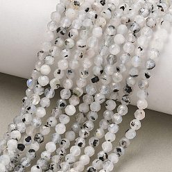 Rainbow Moonstone Бусины из натурального радужного лунного камня, граненые, круглые, 4 мм, отверстие : 0.6~0.7 мм, около 98~101 шт / нитка, 15.16~15.35 дюйм (38.5~39 см)