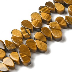 Тигровый глаз Природных тигровый глаз бисер нитей, слеза, Топ пробуренной, 9~10x5~5.5x3.5~4 мм, отверстие : 0.7 мм, около 40~48 шт / нитка, 7.09~7.28'' (18~18.5 см).