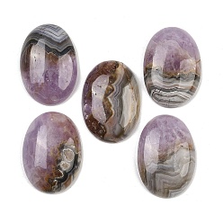 Натуральный Агат Подвески из натурального аметиста и кружевного агата, овальные амулеты, класс А, 35x24.5~25x8 мм, отверстие : 1.5 мм