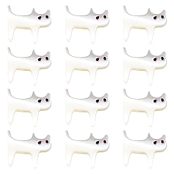 Trochus Shell 12Pcs Natural Trochid Shell/Trochus Shell Beads, Cat Shape, 11.5x14x2mm, Hole: 0.8mm