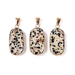 Далматинских Джаспер Природные яшмы далматин подвески, подвески из граненых прямоугольных камней, с латунной фурнитурой, золотые, 30.5~31.5x14.5~15.5x5.5~6.5 мм, отверстие : 7x4 мм