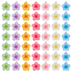 (52) Непрозрачная лаванда 49 шт 7 цвета подвески из непрозрачной смолы, плюмерия, с эмалью и петлей, разноцветные, 27x25.5x7.5 мм, отверстие : 1.8 мм, 7 шт / цвет