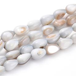 WhiteSmoke Natural Shell Bead Strands, Dyed, teardrop, WhiteSmoke, 7x5mm, Hole: 0.5mm, about 59pcs/strand, 15.2 inch