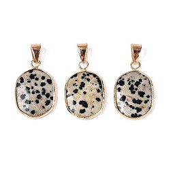 Далматинских Джаспер Природные яшмы далматин подвески, подвески с овальными камнями, с латунным краем и защелкивающимися дужками, золотые, 25~25.5x15.5~16.5x3~4 мм, отверстие : 7x4 мм