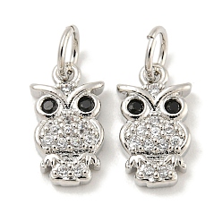 Сова Покрытие стойки латунь микропаве прозрачные подвески из кубического циркония, долговечный, с прыжковых колец, без свинца и без кадмия, реальный 18 k позолоченный, сова, 12x6.5x2 мм, отверстие : 3 мм