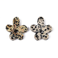 Далматинских Джаспер Природные яшмы далматин подвески, , 34~35x29.5~31x6~7 мм, отверстие : 5 мм