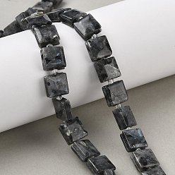 Лабрадорита Природные лабрадорита бисер нитей, квадратный, 10.5~11x10~11x5~6 мм, отверстие : 0.9~1 мм, около 32~34 шт / нитка, 15.39~15.63'' (39.1~39.7 см)