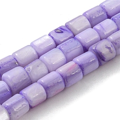 Púrpura Media Cuentas de concha de perla natural hebras, teñido, columna, púrpura medio, 4~5.5x5 mm, agujero: 0.6 mm, sobre 74~75 unidades / cadena, 14.76~14.96 pulgada (37.5~38 cm)