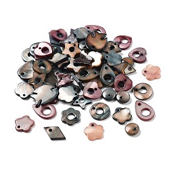 (52) Непрозрачная лаванда Подвески из натуральных пресноводных окрашенных ракушек, разнообразные, разноцветные, 10.5~17x9.5~13x2 мм, отверстие : 1.2~1.8 мм