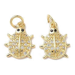 Настоящее золото 18K Латунные микро проложить кубического циркония подвески, с целью перехода в кольце, насекомые талисманы, без свинца и без кадмия, долговечный, стойки покрытие, реальный 18 k позолоченный, 15x11.5x3 мм, отверстие : 3 мм