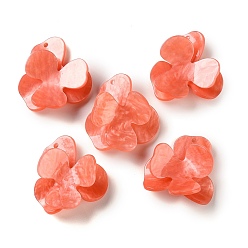 Помидор Непрозрачные акриловые подвески, , помидор, 3 мм, отверстие : 41x42.5x9.5 мм