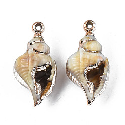 Antique White Plating Acrylic Pendants, with Brass Findings, Light Gold, Conch Shell, Antique White, 33~33.5x16~16.5mm, Hole: 1.6mm
