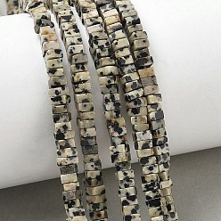 Далматинских Джаспер Природные яшмы далматин бисер нитей, квадратный, 4x4x2.5~3 мм, отверстие : 1 мм, около 156~164 шт / нитка, 15.08'' (38.3 см) ~ 15.35'' (39 см)