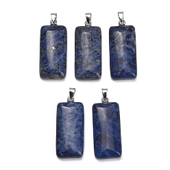 Sodalite Pendentifs sodalites naturelles, charme rectangle, avec 304 mousqueton en acier inoxydable sur les balles, couleur inox, 44~45x19~20x8~9mm, Trou: 7.5x4mm