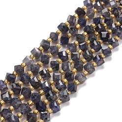 Iolite Natural Iolite Beads Strands, with Seed Beads, Faceted, Diagonal Cube Beads, 5~6x5~6x4~5mm, Hole: 1mm, about 49~55pcs/strand, 15.35''~15.75''(39~40cm)