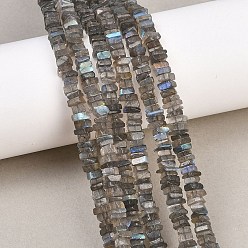 Лабрадорита Природные лабрадорита бисер нитей, прямоугольные бусины хейши, 4.5~5x4.5~5x1.5~2.5 мм, отверстие : 0.3 мм, около 198~200 шт / нитка, 16.14'' (41 см)