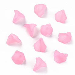 Pink Transparent Acrylic Bead Caps, Trumpet Flower Beads, Frosted, Flower, Pink, 18x18x17mm, Hole: 1.5mm, about 700pcs/500g