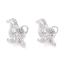 Платинированный Латунь прелести, с прыжковых колец, ворона птица, Реальная платина, 11.5x17x6 мм, Перейти кольцо: 5x0.6 мм, внутренний диаметр: 3.5 мм