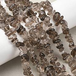 Дымчатый Кварц Природный дымчатый кварц нитей бисера, чип, 6~14x3~8x3~8 мм, отверстие : 1 мм, 29.92'' (76 см)