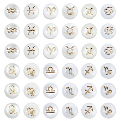 Золотой 36шт 12 стили натуральные белые бусины из ракушек, плоский круг с металлическими созвездиями, золотые, 8~8.5x3.5~4.5 мм, отверстие : 0.8~0.9 мм, 3 шт / стиль