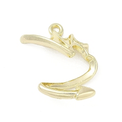 Золотой Подвески из сплава , без свинца, без кадмии и без никеля, стойки покрытие, золотые, 23.5x19x6.5 мм, отверстие : 1.6 мм