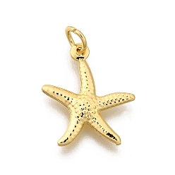 Морская звезда Латунные подвески, стойки покрытие, без кадмия и без свинца, долговечный, с целью перехода в кольце, золотые, морская звезда, 17.5x15.5x2.5 мм, отверстие : 3 мм