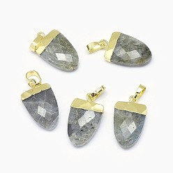 Лабрадорита Природные подвески лабрадорита, с длинными латунными накладками, граненые, ножны, золотые, 18~19x11x5 мм, отверстие : 4x6 мм