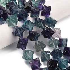 Флюорит Природного флюорита бисер нитей, звезда, 14.5~16x16~17x16~17 мм, отверстие : 1~1.2 мм, около 27 шт / нитка, 15.94'' (40.5 см)