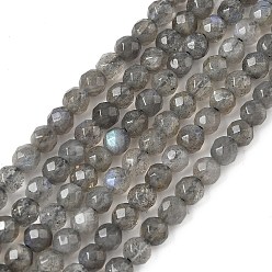 Лабрадорита Природные лабрадорита бисер нитей, граненые, круглые, серые, 4 мм, отверстие : 1 мм, около 90 шт / нитка, 15.35'' (39 см)