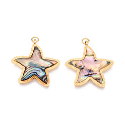 Раковина 304 подвески из натуральной ракушки пауа из нержавеющей стали, подвески в виде морских звезд с соединительными кольцами, реальный 18 k позолоченный, ионное покрытие (ip), 25.5x25x3 мм, отверстие : 2.5 мм