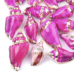 Фуксиновый Аэрозольная краска и гальванические спиральные подвески, с железной фурнитурой, золотой свет, красно-фиолетовые, 36~50x16~24x14~20 мм, отверстие : 2 мм