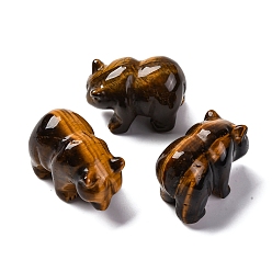 Тигровый глаз Естественный тигр украшения дисплея глаз, товары для украшения дома, белый медведь, 34~36x48~50x26~28 мм