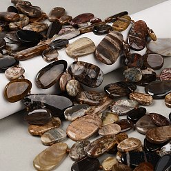 Деревянное Окаменение Природные окаменелое дерево бисер пряди, слеза, Топ пробуренной, 13.5~41x10~25x5~7 мм, отверстие : 1 мм, около 28~30 шт / нитка, 15.75~15.94 дюйм (40~40.5 см)