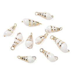 Blanco Pendientes de concha de caracol naturales, encanto de caracola, con borde de latón dorado y argolla de hierro, blanco, 19~28x7~10x7~9 mm, agujero: 3 mm