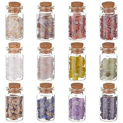 Mixed Color DIY 144g 12 Style Beads Set, Including Natural Mixed Gemstone Chip Beads, Shell Beads, Mixed Color, 12g/style