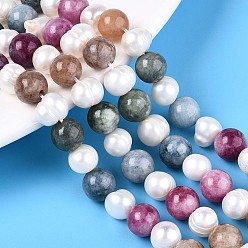 (52) Непрозрачная лаванда Нити рифленых бусин из натурального белого нефрита круглой огранки и натурального культивированного пресноводного жемчуга в форме картофеля, разноцветные, 8~9 мм, отверстие : 1.2 мм, Жемчужина: 6~8x6~10 мм, отверстие : 0.7 мм, около 27 шт / нитка, 7.87~8.07 дюйм (20~20.5 см)
