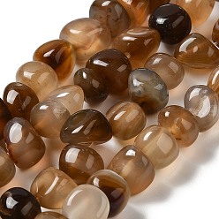 Camel Natural Agate Beads Strands, Dyed & Heated, Nuggets, Tumbled Stone, Camel, 6.5~13x10~13x1.5~11mm, Hole: 1.6mm, about 22pcs/strand, 7.20~7.72''(18.3~19.6cm)