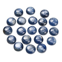 Кианит Натуральный кианитовые кабошоны, плоский зад, полукруглый, 14x4.5~6 мм