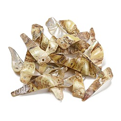 Лимонный шифон Большие подвески из натуральной ракушки акоя, окрашенные распылением, самородки прелести, лимонный шифон, 35.5~55x8~20x4~12 мм, отверстие : 1.2 мм