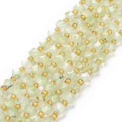 Prehnite Natural Prehnite Beads Strands, with Seed Beads, Faceted, Diagonal Cube Beads, 5~6x5~6x4~5mm, Hole: 1mm, about 49~55pcs/strand, 15.35''~15.75''(39~40cm)