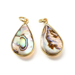 Teardrop Подвески из натуральной ракушки пауа и эпоксидной смолы, латунные геометрические подвески, с прыжковых колец, золотые, слеза, 19.5x11~11.5x3.5~4.5 мм, отверстие : 3 мм