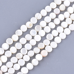 Seashell Color Freshwater Shell Beads Strands, Flat Round, Seashell Color, 6x2~3mm, Hole: 0.5mm, about 64~68pcs/strand, 14.5 inch
