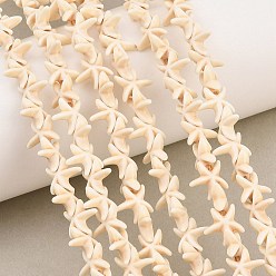 Floral White Synthetic Turquoise Dyed Beads Strands, Starfish, Floral White, 10x10x3.5mm, Hole: 0.8mm, about 61pcs/strand, 14.76''(37.5cm)