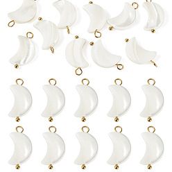 Real 18K Gold Plated 10Pcs Natural Shell Moon Pendants, with 304 Stainless Steel Loops, Seashell Color, Ion Plating(IP), Real 18K Gold Plated, 19~20x10~10.5x2.5~3mm, Hole: 2~2.5mm