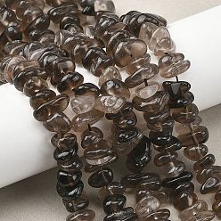 Дымчатый Кварц Природный дымчатый кварц нитей бисера, чип, 8~15x6~11x2~7 мм, отверстие : 0.9~1 мм, 15.75'' (40 см)
